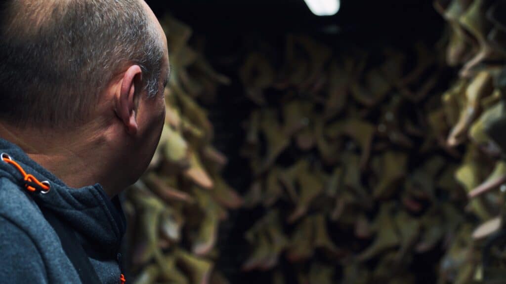 Ghielen Orthopaedics, Groothandel in Orthopedie